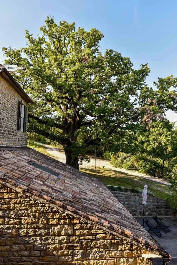 L'Abbraccio Della Quercia Apartment Momjan Luaran gambar