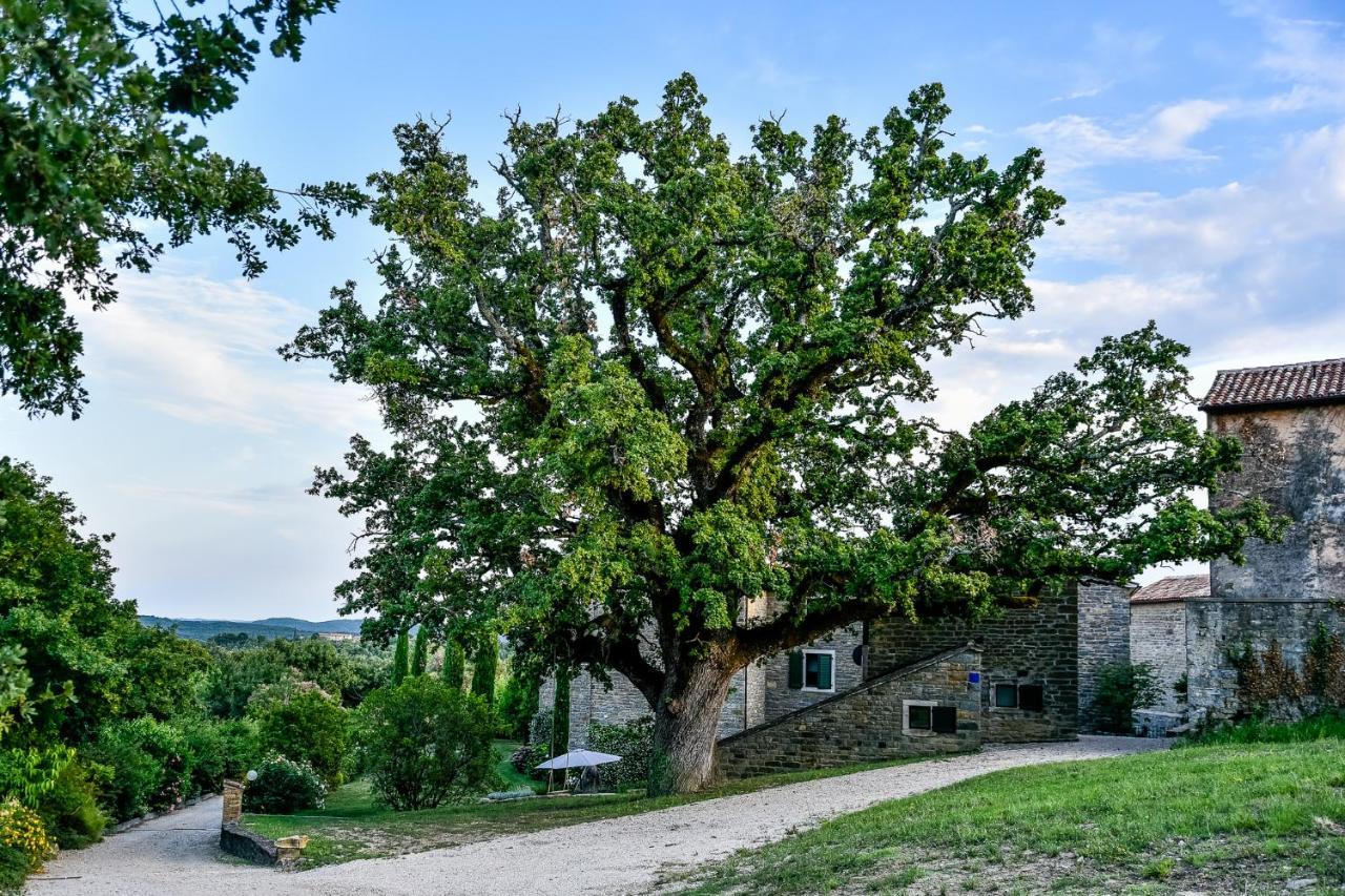 L'Abbraccio Della Quercia Apartment Momjan Luaran gambar