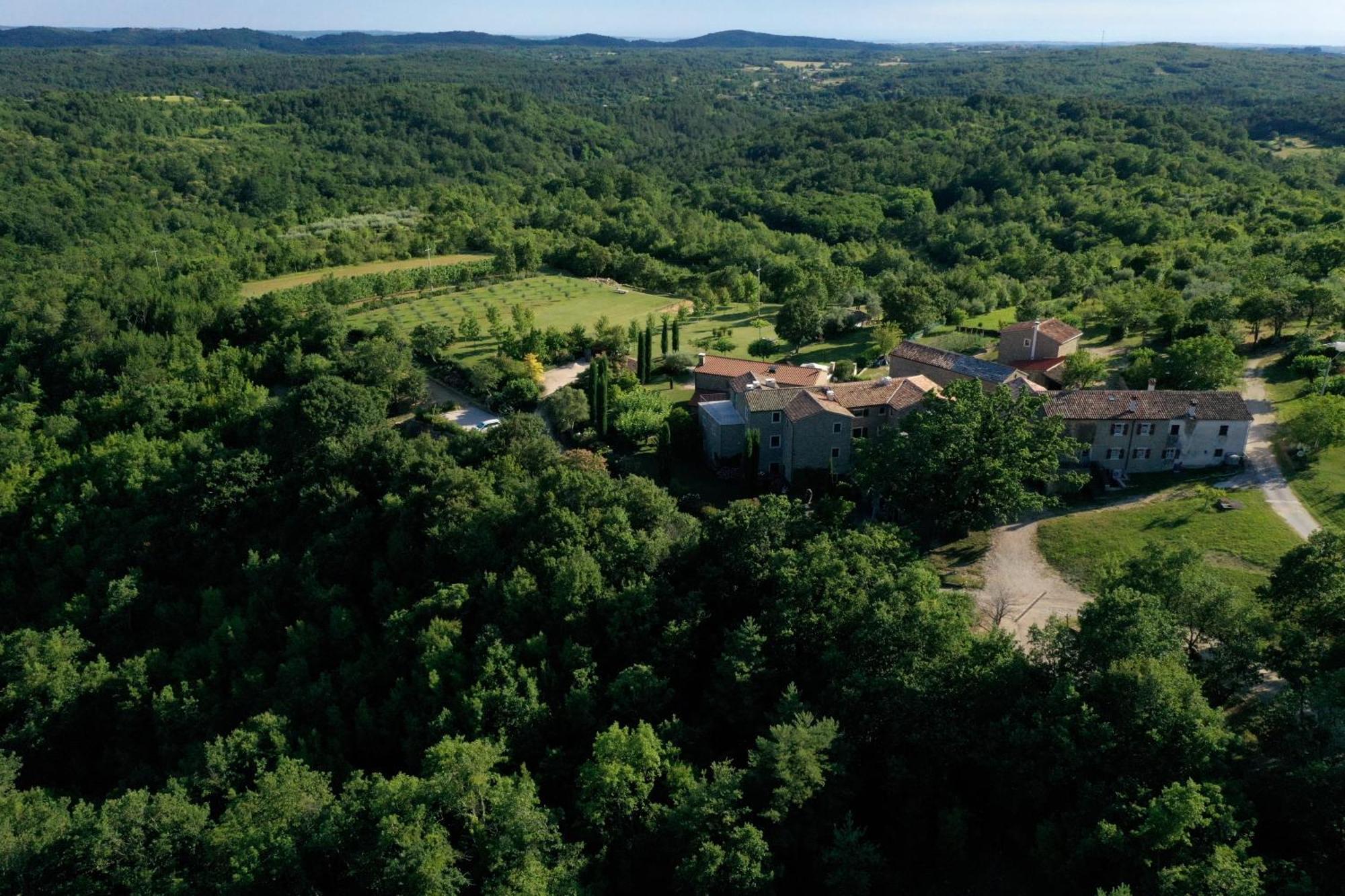 L'Abbraccio Della Quercia Apartment Momjan Luaran gambar
